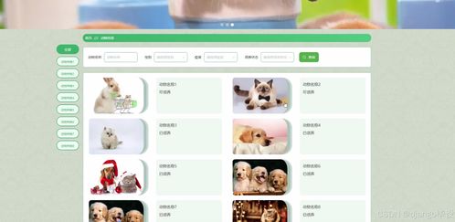 計算機畢業(yè)設(shè)計django vue冠鵬公司動物保護協(xié)會網(wǎng)站系統(tǒng)